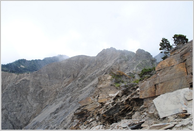 2012-07-11 13-44-54挺進五岩峰.JPG